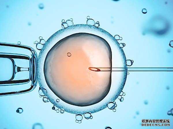 囊胚在月经干净后的第几天开始移植